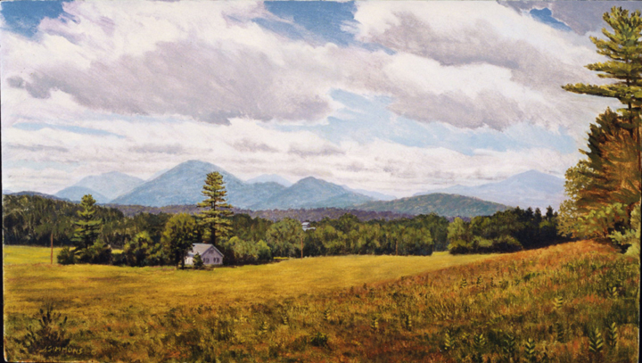 L2.14 - Wadhams field, Adks.